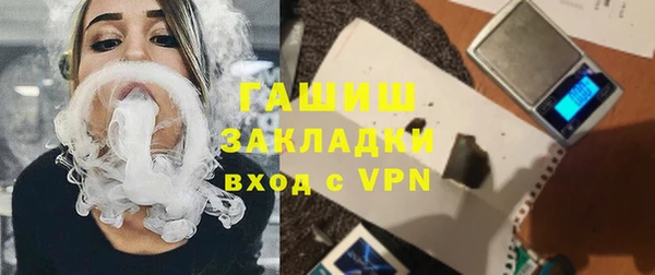 гашик Алексин
