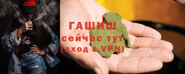 гашик Алексин