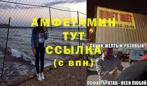 гашик Алексин