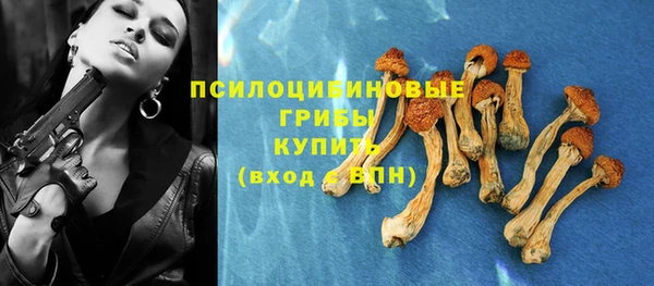 гашик Алексин