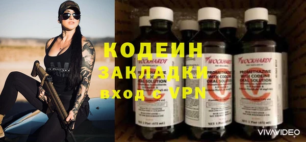 гашик Алексин